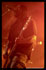 Deftones - Festival Garorock 2007 à Marmande - cliquez pour agrandir