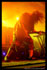 Deftones - Festival Garorock 2007 à Marmande - cliquez pour agrandir