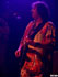 Emir Kusturica - Concert au Bikini a Toulouse le 27/11/2007 - cliquez pour agrandir