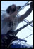 I Love UFO - Festival Garorock 2007 à Marmande - cliquez pour agrandir