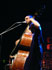 Imbert Imbert - Concert au festival A vos zincs à Toulouse au Bikini le 31/10/2008 - cliquez pour agrandir