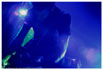 Isis - Concert le 04/06/2007 à Montpellier - cliquez pour agrandir