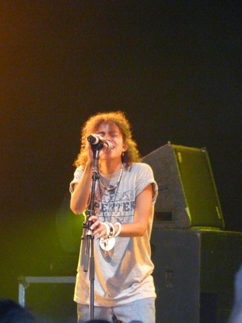 Solidays 2008 - cliquez pour agrandir