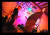 Tal K Mas - Concert a Cadours le 17/05/2008 - cliquez pour agrandir